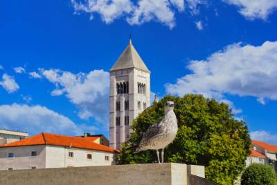 Zadar Zadar