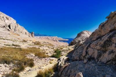 Metajna, ścieżka Life on Mars Metajna, ścieżka Life on Mars