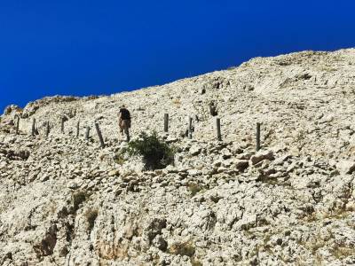 Metajna, ścieżka Life on Mars Metajna, ścieżka Life on Mars