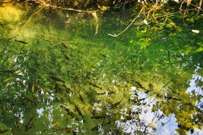 Park Narodowy Krka Park Narodowy Krka