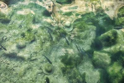 Park Narodowy Krka Park Narodowy Krka