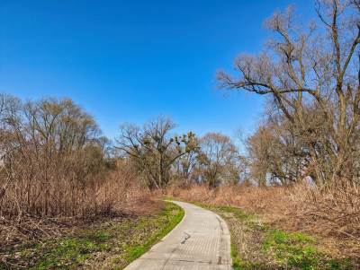 Meandry Odry Meandry Odry