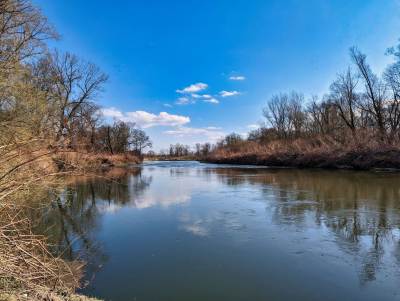 Meandry Odry Meandry Odry