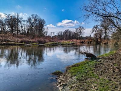 Meandry Odry Meandry Odry