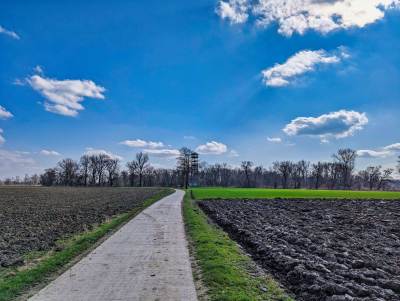 Meandry Odry Meandry Odry