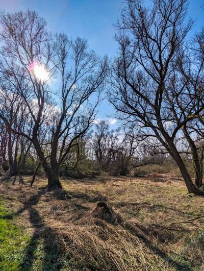 Meandry Odry Meandry Odry