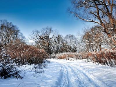 Meandry Odry Meandry Odry