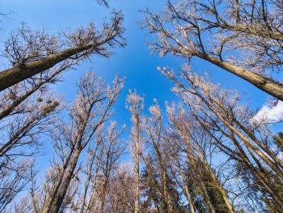 Meandry Odry Meandry Odry