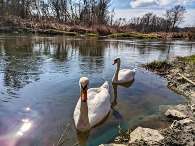 Meandry Odry Meandry Odry