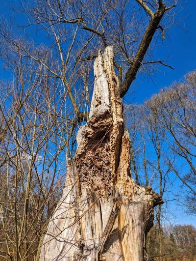 Meandry Odry Meandry Odry