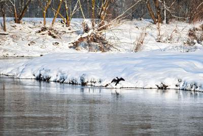 Meandry Odry Meandry Odry