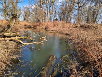 Meandry Odry Meandry Odry