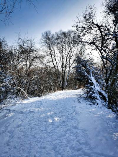 Meandry Odry Meandry Odry