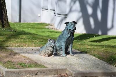 Polanica Zdrój Polanica Zdrój