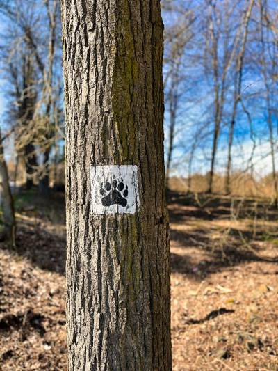 Polanica Zdrój Polanica Zdrój