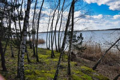 Zbiornik Dziećkowice (Jezioro Dziećkowice) Zbiornik Dziećkowice (Jezioro Dziećkowice)