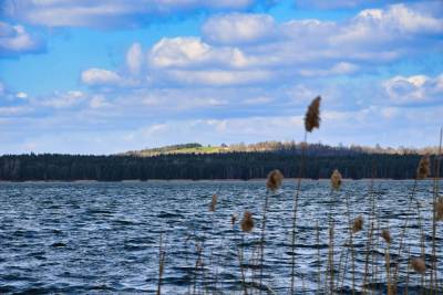 Zbiornik Dziećkowice (Jezioro Dziećkowice) Zbiornik Dziećkowice (Jezioro Dziećkowice)