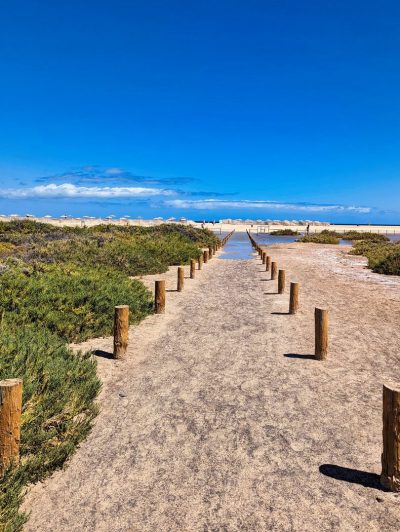 Fuerteventura Fuerteventura