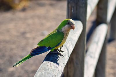 Fuerteventura Fuerteventura