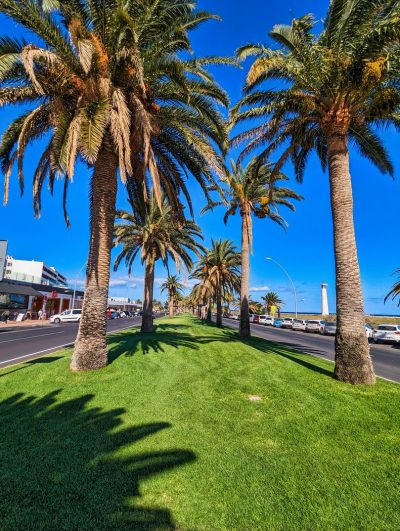 Fuerteventura Fuerteventura