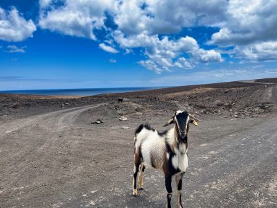 Fuerteventura Fuerteventura