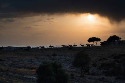 Ormos Panagias Ormos Panagias