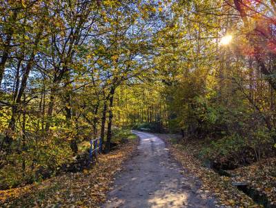 Rzyki Leskowiec Rzyki Rzyki Leskowiec Rzyki
