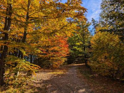 Rzyki Leskowiec Rzyki Rzyki Leskowiec Rzyki