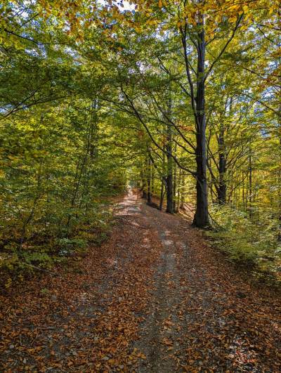 Rzyki Leskowiec Rzyki Rzyki Leskowiec Rzyki