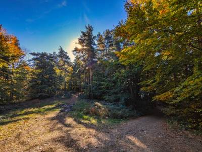 Rzyki Leskowiec Rzyki Rzyki Leskowiec Rzyki