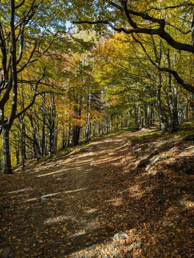 Rzyki Leskowiec Rzyki Rzyki Leskowiec Rzyki