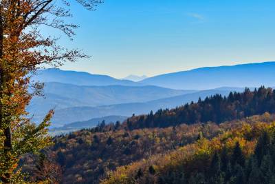 Rzyki Leskowiec Rzyki Rzyki Leskowiec Rzyki