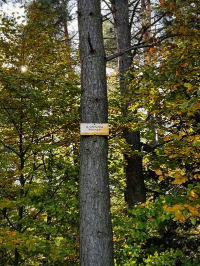 Rzyki Leskowiec Rzyki Rzyki Leskowiec Rzyki