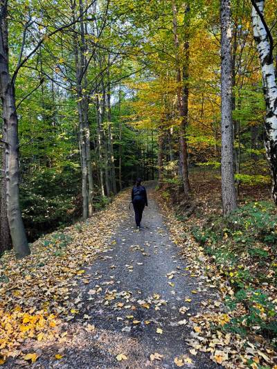 Rzyki Leskowiec Rzyki Rzyki Leskowiec Rzyki