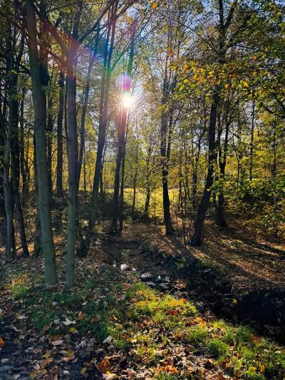 Rzyki Leskowiec Rzyki Rzyki Leskowiec Rzyki