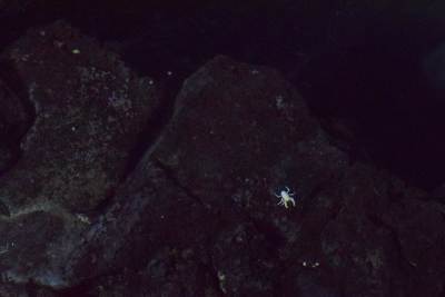 Jaskinie Jameos del Agua Jaskinie Jameos del Agua