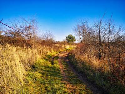 Park Gródek, Śląskie Malediwy Park Gródek, Śląskie Malediwy