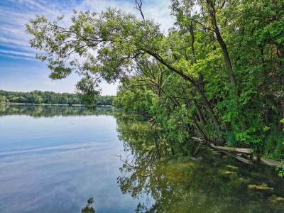 Jezioro Pławniowice Jezioro Pławniowice