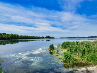 Jezioro Pławniowice Jezioro Pławniowice