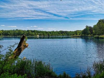 Jezioro Pławniowice Jezioro Pławniowice