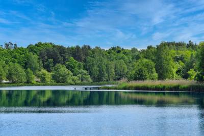 Jezioro Pławniowice Jezioro Pławniowice
