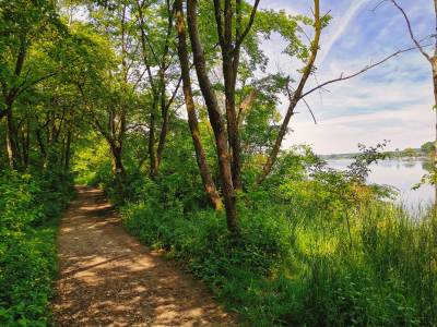 Jezioro Pławniowice Jezioro Pławniowice