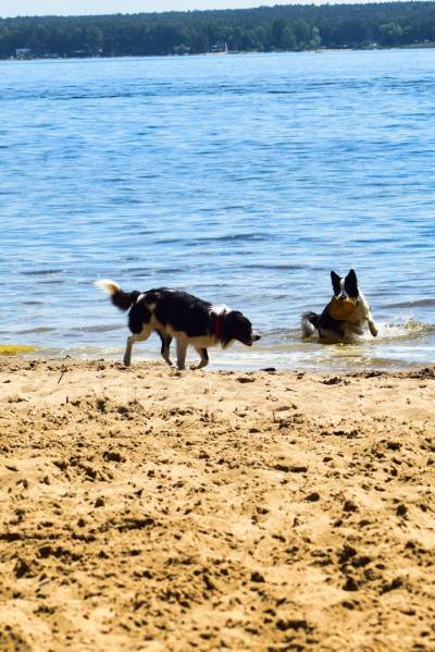 Jezioro Turawskie Jezioro Turawskie