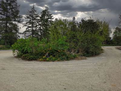 Nieboczowy Nieboczowy