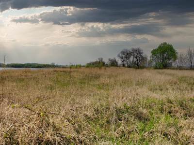 Nieboczowy Nieboczowy