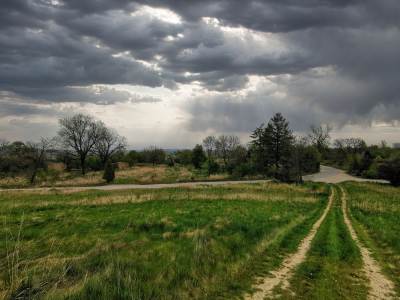 Nieboczowy Nieboczowy