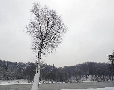 Ośrodek Balaton Ośrodek Balaton