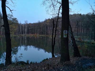 Ośrodek Balaton Ośrodek Balaton