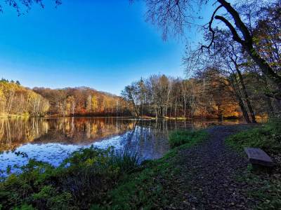 Ośrodek Balaton Ośrodek Balaton
