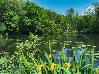 Ośrodek Balaton Ośrodek Balaton